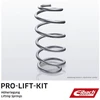 Image de Ressort De Châssis Eibach F314001201ra Honda