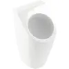 Image de Urinoir ovale pour installation sur base ou en suspension murale Villeroy & Boch Architectura blanc 325 x 335 x 680m