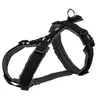 Image de harnais trekking pour chien taille S tour de ventre 36-44 cm couleur : noir/gris graphite