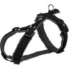Image de Harnais trekking Premium - S-M: 44-53 cm - 20mm - Noir et gris graphite