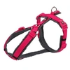 Image de harnais trekking pour chien taille S- M tour de ventre 44-53 cm couleur : rose et gris