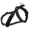 Image de Harnais trekking pour chien taille M tour de ventre 53-64 cm couleur : noir/gris graphite