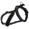 Image de Harnais trekking Premium - M-L: 62-74 cm- 25mm - Noir et gris graphite