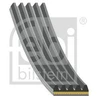 Image de Courroie Trapézoïdale Multiple Pour Générateur De Démarrage 183324 Febi Febi 183324 Fiat;Lancia