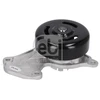 Image de Pompe A Eau Avec Joint 183471 Febi Febi 183471 Dacia;Nissan;Renault
