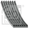 Image de Courroie Trapézoïdale En Poly 184507 Febi Febi 184507 Nissan;Toyota