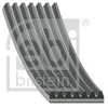 Image de Courroie Trapézoïdale En Poly 184864 Febi Febi 184864 Nissan;Opel;Renault