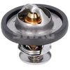 Image de Thermostat Swag 50106104 Ford