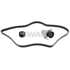 Image de Jeu De Courroies Poly Trapézoïdales Swag 33109036 Mercedes-Benz;Renault