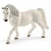 Image de 13819 Jument Lipizzan