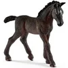 Image de Lipizzaner Foal