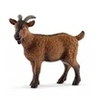 Image de 13828 Chevre animal