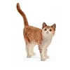 Image de 13836 Chat