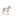Image de 13871 Poney Galois male