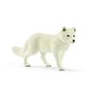 Image de Arctic Fox