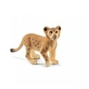 Image de 14813 Lionceau