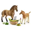 Image de Schleich 42432 Les Soins pour Bébé Animaux d'Horse Club Sarah, dès 5 Ans, Horse Club - Coffret, 19 x 6,6 x 15 cm en occasion ou reconditionné