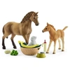 Image de SCHLEICH - Figurine 42432 Les soins pour bébé animaux d'Horse Club Sarah