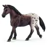 Image de Appaloosa Mare