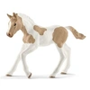 Image de 13886 Poulain paint horse