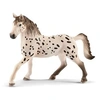 Image de Knabstrupper Stallion