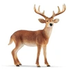 Image de 14818 Cerf de virginie