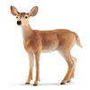 Image de 14819 Biche de Virginie
