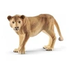 Image de 14825 Lionne