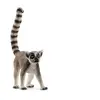 Image de Ring-tailed lemur