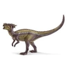 Image de Dracorex
