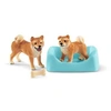 Image de Shiba Inu Mother and Pup