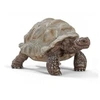 Image de 14824 la tortue geante figurine