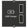 Image de Double Charger - Insert de montage encastré - charge USB X 2