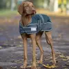 Image de Waldhausen Couverture pour chiens Comfort Line 200g 65