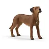Image de Figurine Chien de Rhodésie a crete dorsale - 13895 - Farm World
