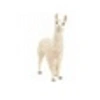 Image de 13920 Lama