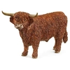 Image de 13919 Taureau Highland