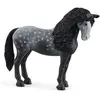 Image de 13922 Jument pure race espagnole gris