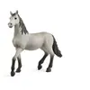 Image de Figurine - - Poulain Pure Race Espagnole - Multicolore - 3 Ans Et Plus