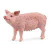 Image de - Cochon - 13933