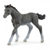 Image de 13944 Poulain trakehnen Figurine