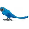 Image de 14859 - Ara hyacinthe oiseau