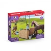 Image de Box de lavage pour chevaux Emily et Luna, coffret avec 19 éléments inclus dont 1 cheval schleich, coffret figurines écurie