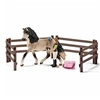 Image de Kit de soin pour chevaux andalous - - 42270 - A partir de 5 ans