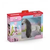 Image de 42584 Coffret cheval à coiffer sofia and dusty