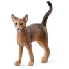 Image de 13964 - Chat Abyssin