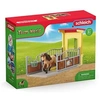 Image de Box avec Poney Icelandais - Extension Ferme Educative