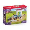 Image de Horse Club Box à cheval avec Jument et Poulain