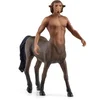 Image de Harry Potter - Figurine Firenze