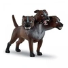 Image de 13990 Touffu le chien a 3 tetes